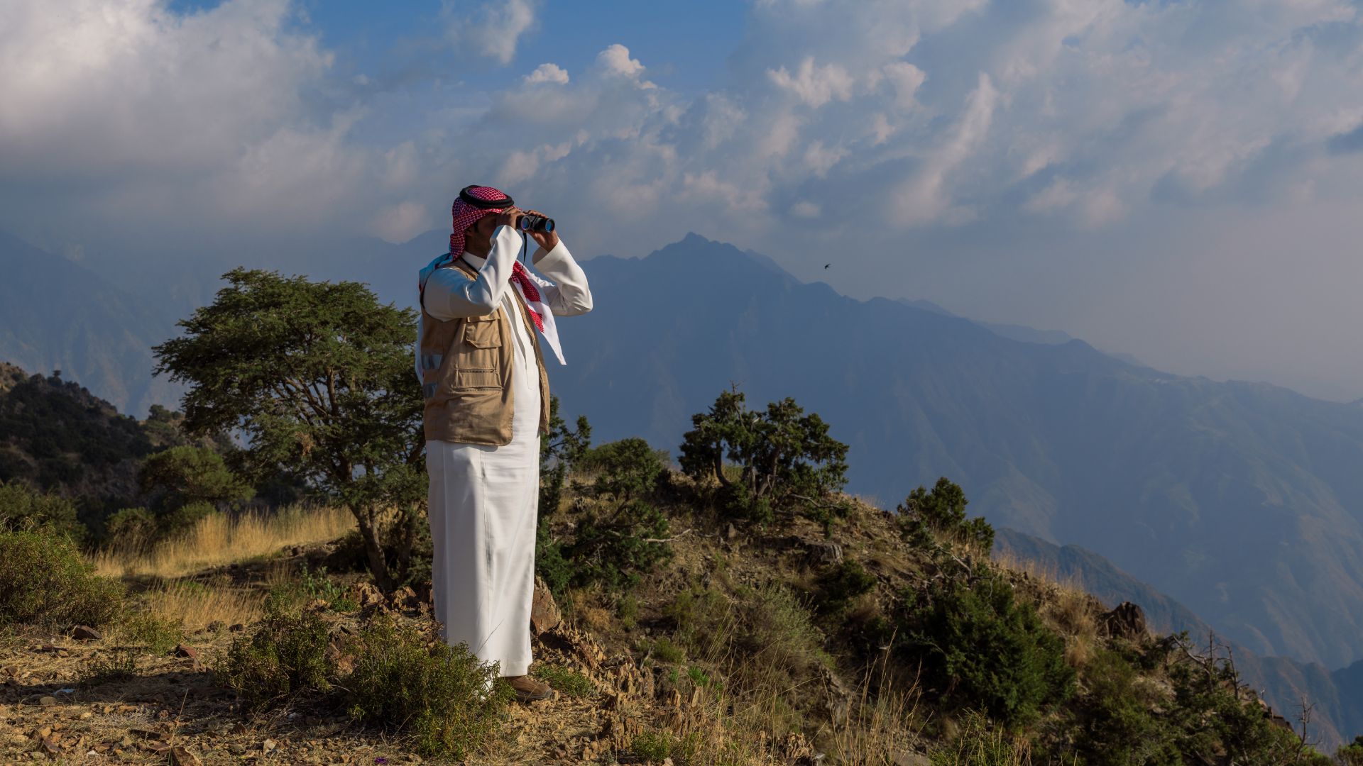 Violations and Penalties